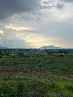 /international/mx/seccion-sur-amatitan-amatitan-jalisco-amatitan-jalisco-310106017367/