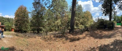 /international/mx/bosque-luciernaga-s-n-cerro-gordo-valle-de-bravo-mexico-valle-de-bravo-mexico-city-310106292706/
