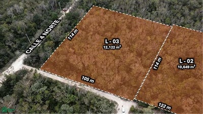 /international/mx/av-20-norte-tulum-quintana-roo-310107886690/