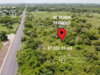 /international/mx/carretera-vereda-alvarado-veracruz-310107912458/