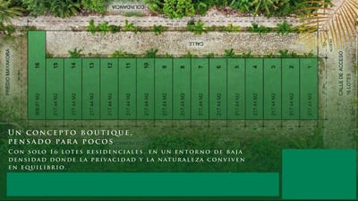 /international/mx/jardines-de-ciudad-mayakoba-quintana-roo-quintana-roo-310108759649/