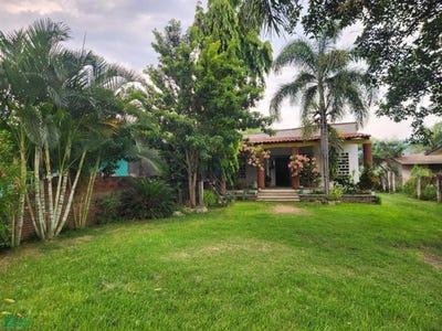 /international/mx/rivera-paraiso-s-n-aeropuerto-internacional-angel-albino-corzo-chiapa-de-corzo-chiapas-29161-timmonsville-chiapas-310108007464/