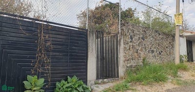 /international/mx/sinaloa-sn-tres-de-mayo-emiliano-zapata-morelos-emiliano-zapata-morelos-310100912888/?lang=zh-tw