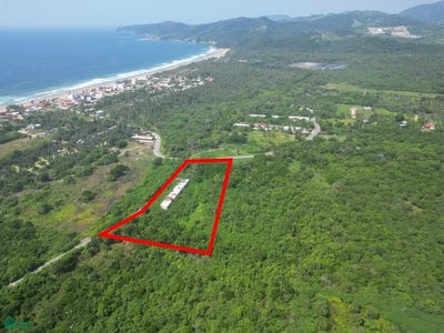 /international/mx/playa-larga-0-playa-larga-ixtapa-zihuatanejo-jose-azueta-guerrero-40882-guerrero-310106747566/