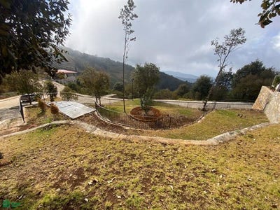 /international/mx/carretera-tuxtla-gutierrez-san-cristobal-km-38-s-n-zacualpan-de-ecatepec-san-cristobal-de-las-casas-chiapas-san-cristobal-de-las-casas-chiapas-310106110469/