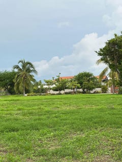 /international/mx/153-ave-mexico-l-101-mz-d-riviera-nayarit-nayarit-310108114848/