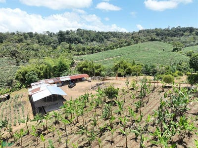 /international/ni/el-dorado-jinotega-jinotega-310107373586/