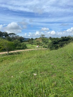 /international/ni/finca-nevada-a-prime-10-acre-canvas-for-your-next-project-san-juan-del-sur-north-rivas-department-310104300034/