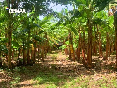 /international/ni/altagracia-isla-de-ometepe-altagracia-rivas-altagracia-rivas-department-310100962303/