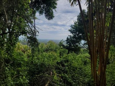 /international/ni/catarina-departamento-de-masaya-catarina-masaya-catarina-masaya-310100962328/