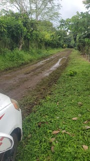 /international/ni/comarca-las-canarias-3-jinotepe-carazo-jinotepe-carazo-jinotepe-carazo-department-310106116105/