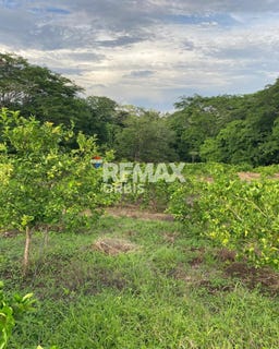 /international/ni/comarca-el-cacao-santa-teresa-carazo-nicaragua-santa-teresa-carazo-santa-teresa-carazo-department-310104148407/