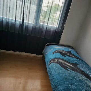 /international/nl/mannagras-rotterdam-south-holland-310095621312/?lang=zh-cn