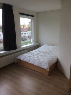 /international/nl/pasteursingel-rotterdam-south-holland-310099495461/?lang=zh-cn