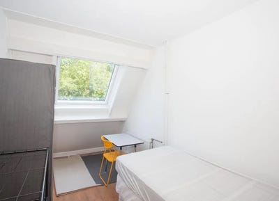 /international/nl/albert-rousselstraat-the-hague-south-holland-310100785432/?lang=zh-cn