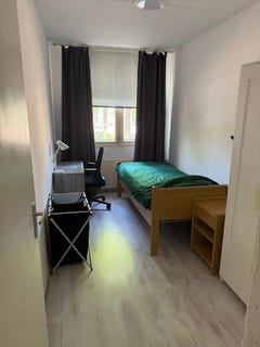 /international/nl/roomtuintjes-amsterdam-north-holland-310095602919/?lang=en