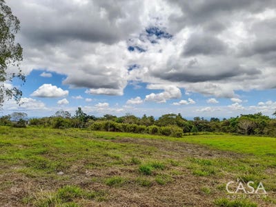 /international/pa/cochea-cochea-chiriqui-310106407139/