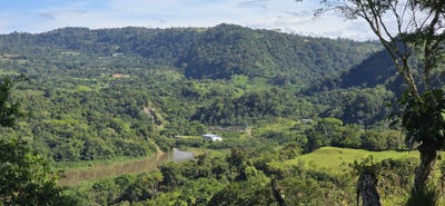 /international/pa/caizan-renacimiento-renacimiento-caizan-chiriqui-renacimiento-caizan-chiriqui-310100938754/