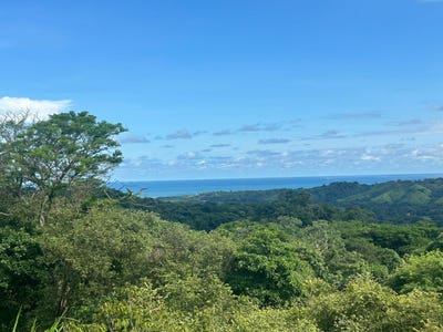 /international/pa/el-toro-pedasi-pedasi-los-santos-pedasi-los-santos-province-310106612684/