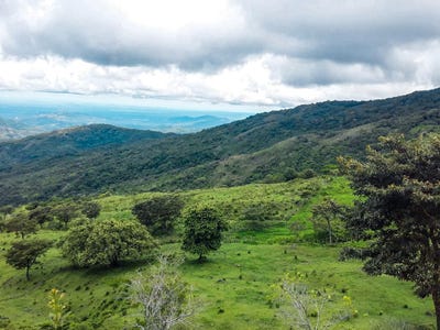 /international/pa/el-cope-caldera-boquete-boquete-chiriqui-310107188097/