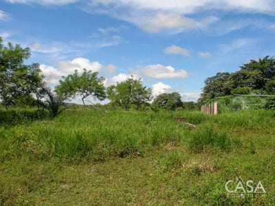 /international/pa/dolega-district-dolega-district-chiriqui-310107443455/