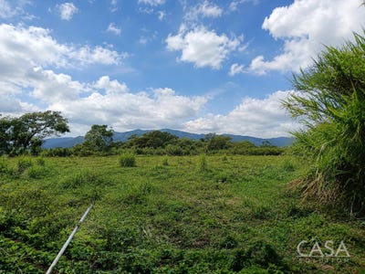/international/pa/palmira-chiriqui-palmira-chiriqui-310108645334/