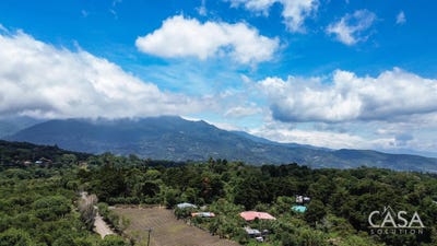 /international/pa/palmira-chiriqui-palmira-chiriqui-310105296753/