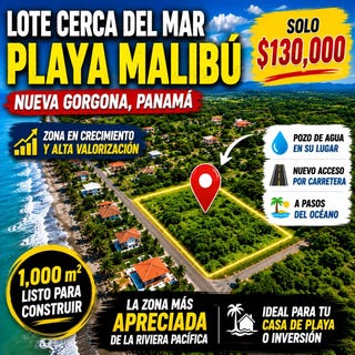 /international/pa/av-nueva-gorgona-1-135-nueva-gorgona-provincia-de-panama-oeste-panama-nueva-gorgona-panama-city-310109090174/