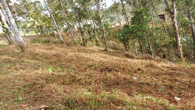 /international/pa/cerro-azul-lot-e-panama-panama-city-310107331107/