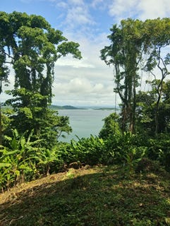 /international/pa/tierra-oscura-tierra-oscura-bocas-del-toro-province-310108968324/?lang=fr