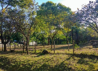 /international/pa/caldera-boquete-boquete-chiriqui-310107330955/