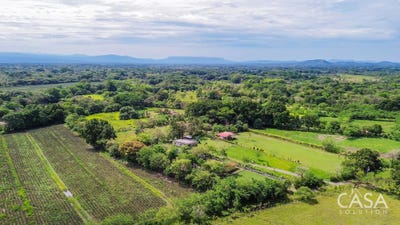 /international/pa/dolega-district-dolega-district-chiriqui-310105173972/
