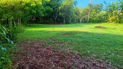/international/pa/las-lajas-chiriqui-san-felix-chiriqui-310107364142/