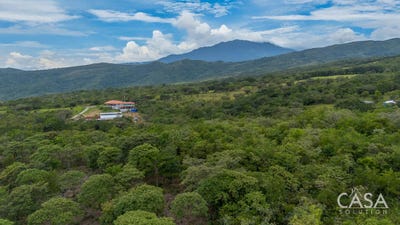 /international/pa/jaramillo-jaramillo-chiriqui-310101173063/?lang=es