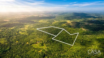 /international/pa/arraijan-arraijan-panama-city-310107442674/