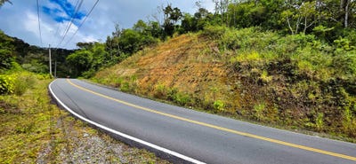/international/pa/land-for-sale-on-the-road-to-rio-sereno-volcan-bugaba-volcan-chiriqui-bugaba-volcan-chiriqui-310103197662/
