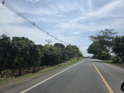 /international/pa/avenida-belisario-porras-santo-domingo-las-tablas-las-tablas-santo-domingo-los-santos-las-tablas-santo-domingo-los-santos-province-310108188596/