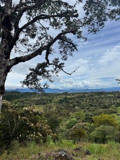 /international/pa/boquete-chiriqui-chiriqui-310104460138/