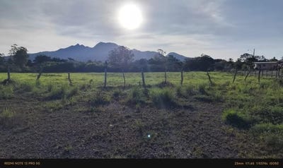 /international/pa/caisan-volcan-tierras-altas-chiriqui-310101083943/?lang=fr