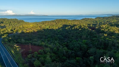 /international/pa/torio-torio-veraguas-310106402764/