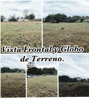 /international/pa/arraijan-via-panamericana-a-la-altura-de-caceres-arraijan-cerro-silvestre-panama-oeste-arraijan-cerro-silvestre-panama-oeste-310101209110/?lang=fr