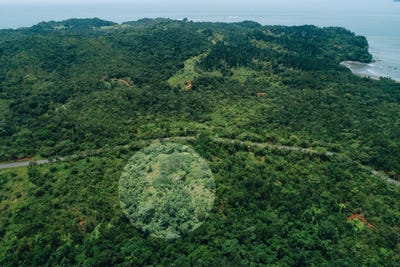 /international/pa/torio-torio-veraguas-310106388758/