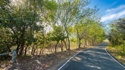 /international/pa/san-carlos-district-san-carlos-district-panama-city-310100600391/