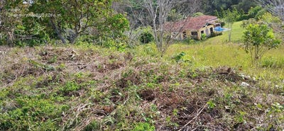 /international/pa/trinity-hills-valley-capira-unit-20-capira-panama-city-310099609058/