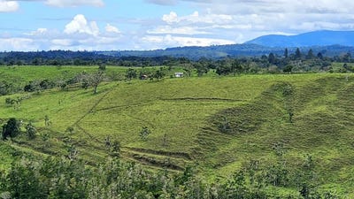 /international/pa/santa-clara-renacimiento-renacimiento-rio-sereno-chiriqui-renacimiento-rio-sereno-chiriqui-120089781173/