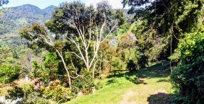 /international/pa/chiriqui-boquete-palo-alto-the-springs-lote-13-boquete-chiriqui-310104942713/