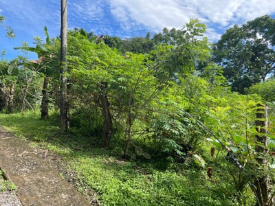 /international/pa/tijeras-unit-lot-boqueron-chiriqui-310101044349/?lang=zh-cn