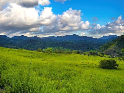 /international/pa/via-monte-lirio-santa-clara-renacimiento-rio-sereno-chiriqui-renacimiento-rio-sereno-chiriqui-310106834058/
