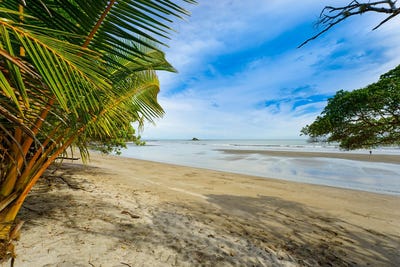 /international/pa/boca-chica-san-lorenzo-chiriqui-san-lorenzo-chiriqui-310098313350/