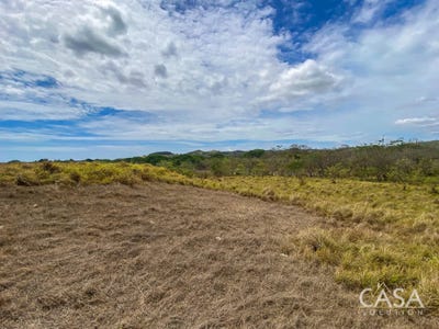 /international/pa/parita-district-parita-district-herrera-province-310104565221/